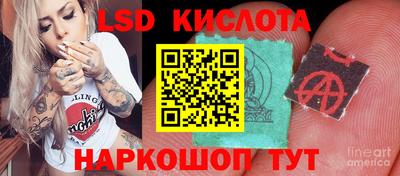 спиды Гагарин