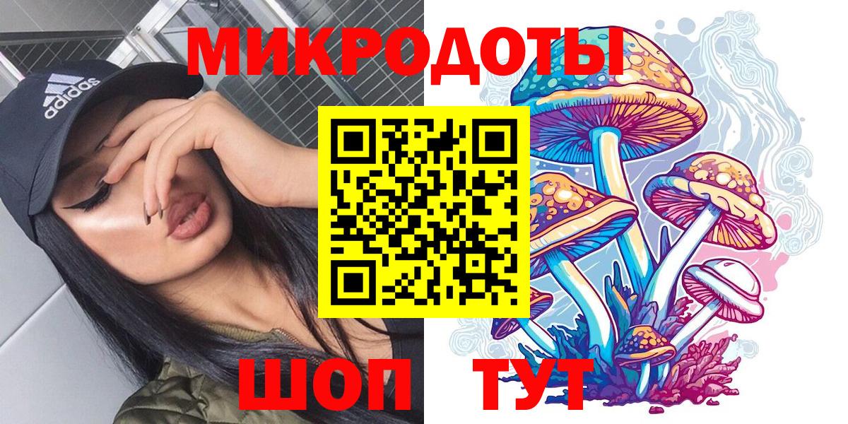 Псилоцибиновые грибы Psilocybine cubensis Новоалександровск