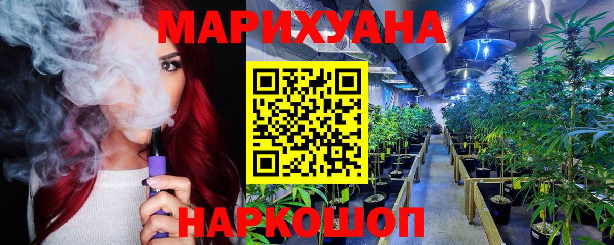 Канабис сатива Новоалександровск